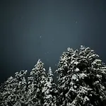Winter Wonderland 2Bhk Cottages