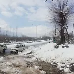 The Gulmarg Palace