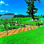 Pine View Resort
