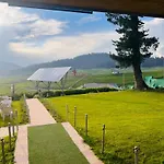 Pine View Resort