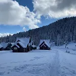 Gulmarg Woods By Stay Pattern