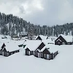 Gulmarg Woods By Stay Pattern