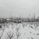 Gulmarg Orchard