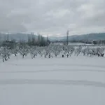 Gulmarg Orchard