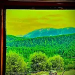 Pine View