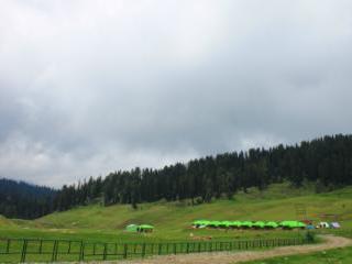 Meadows Gulmarg