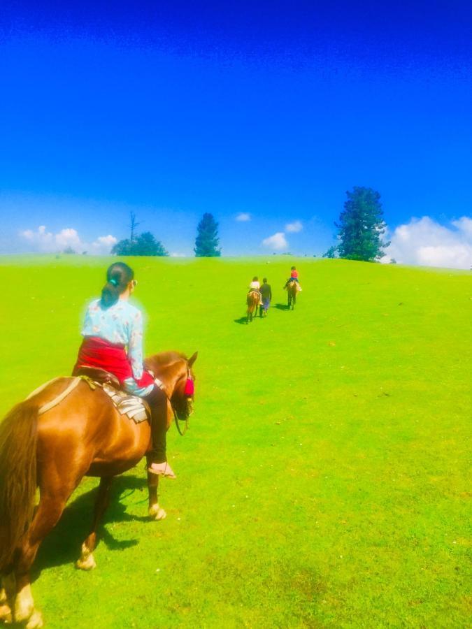 Pine View Hotel Gulmarg