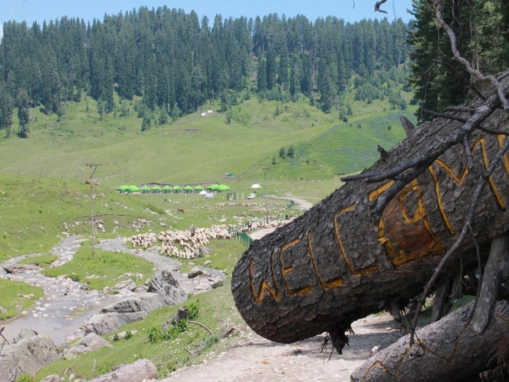 Luxury tent Meadows Gulmarg