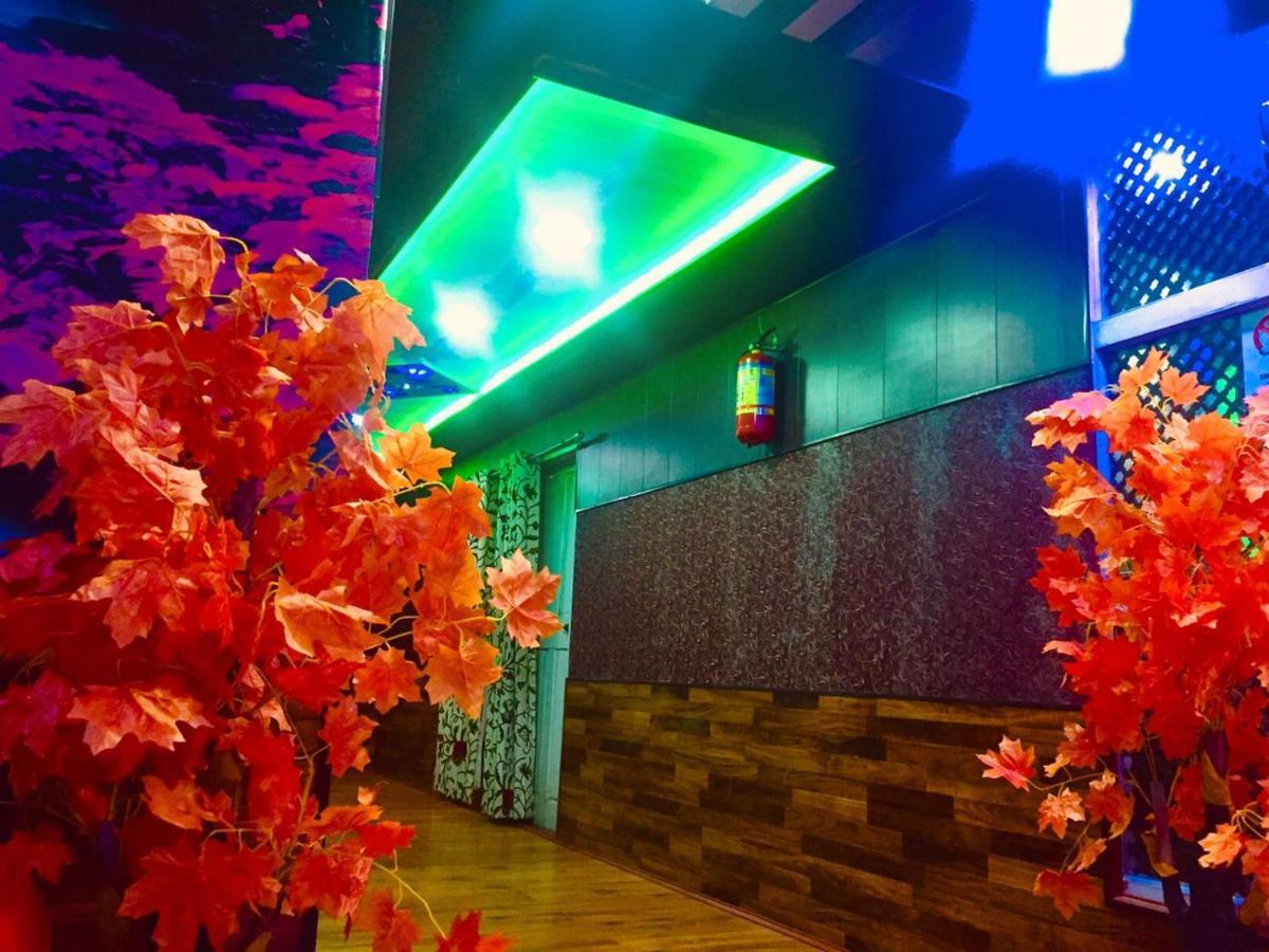 Pine View Resort 2*