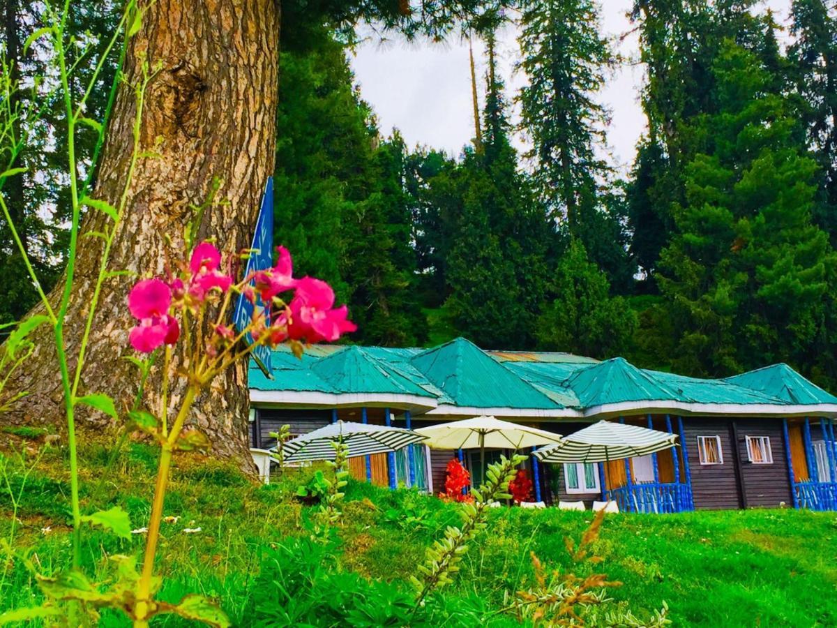 Resort Pine View