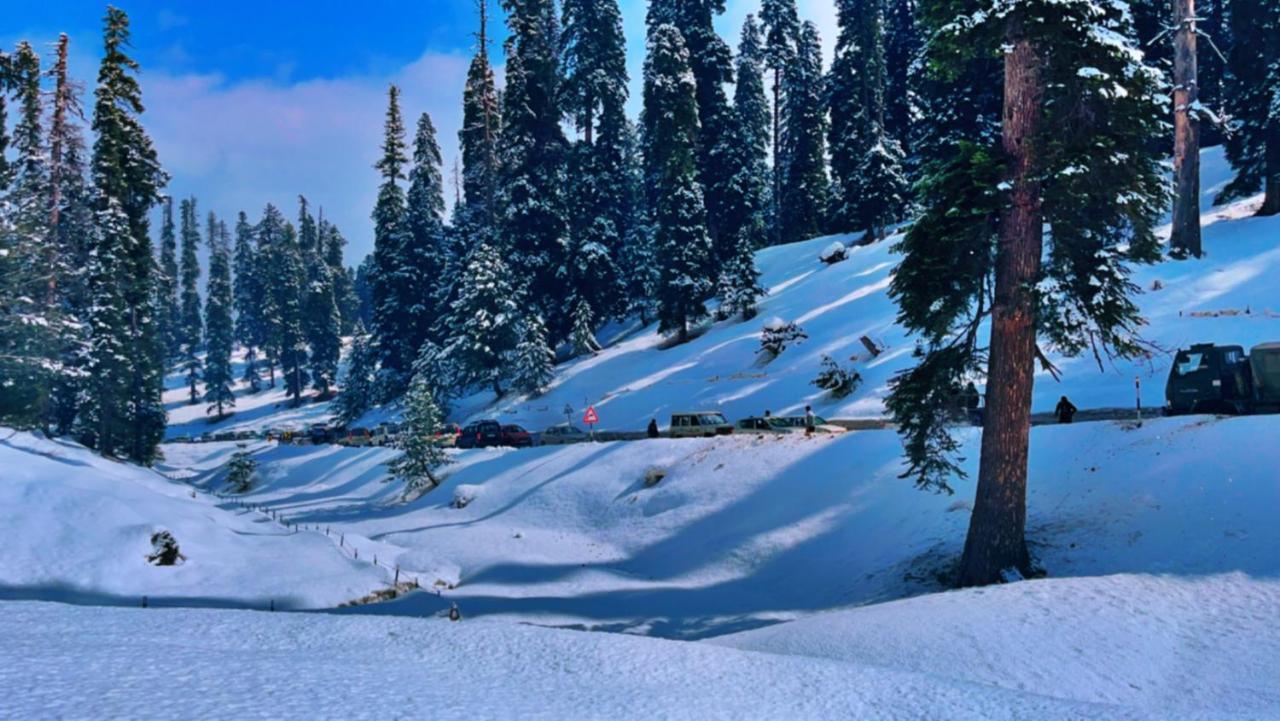Everest * Gulmarg
