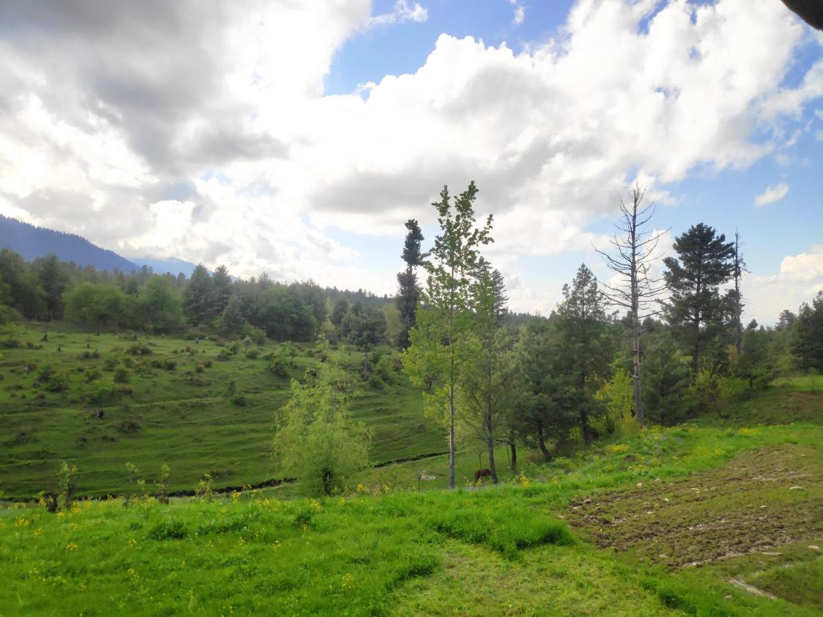 Serene By Doctors Gulmarg