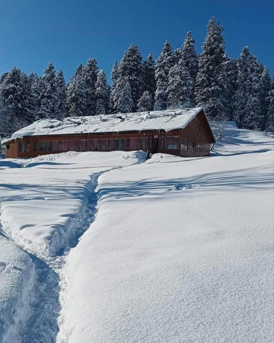 Hotel Roseland , 4*