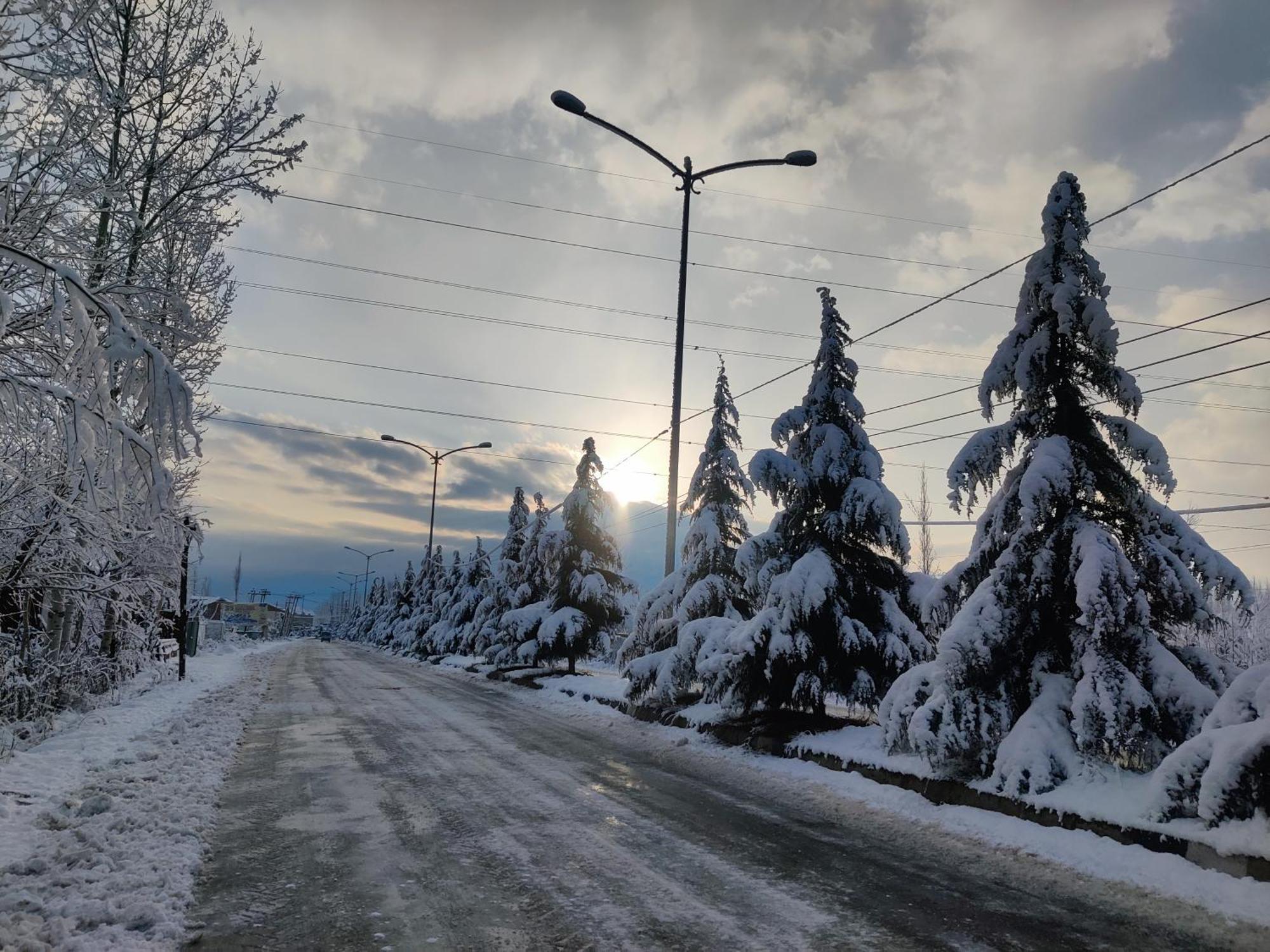 Kashmir *