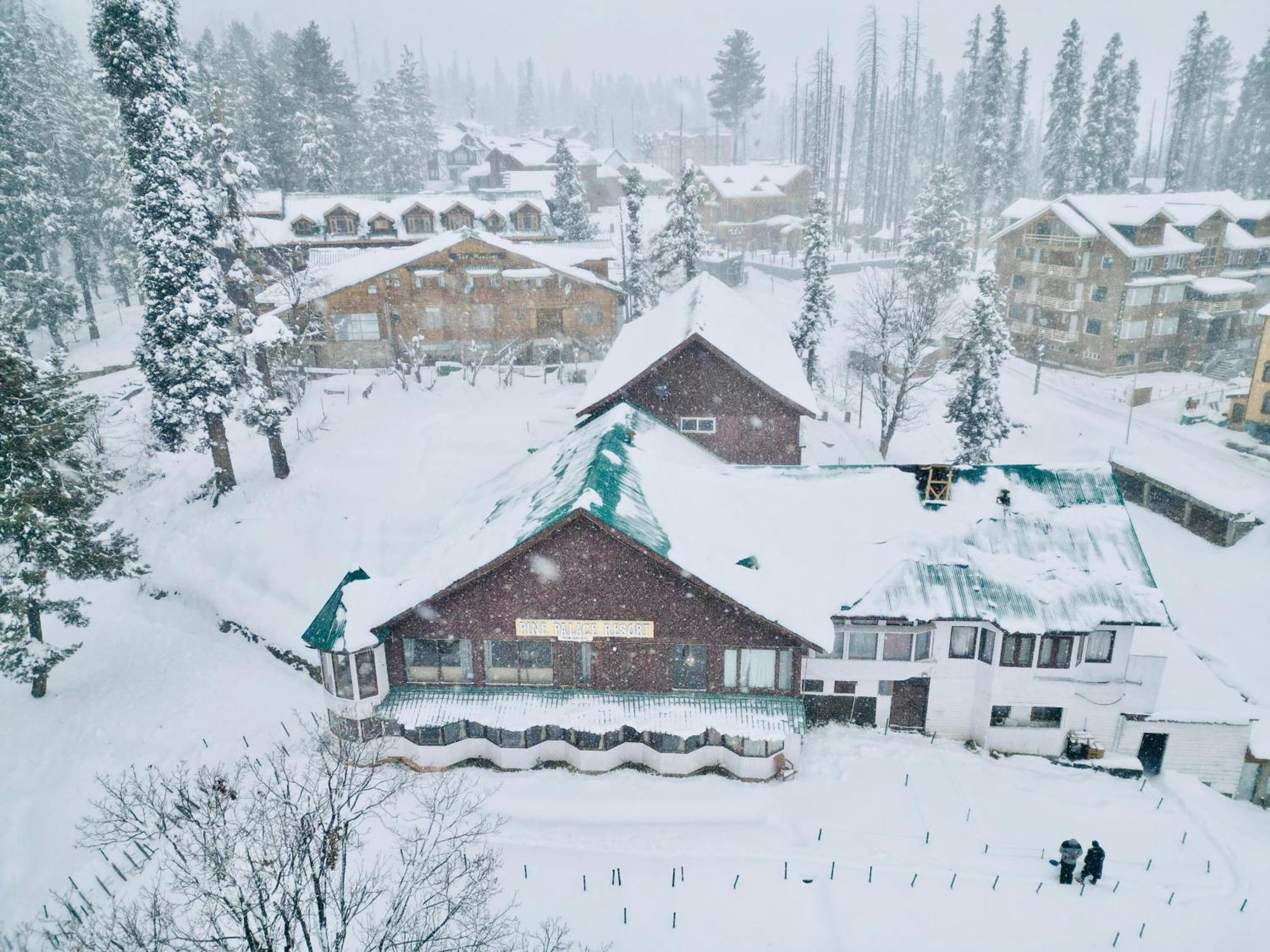 The Pine Palace Hotel 3*