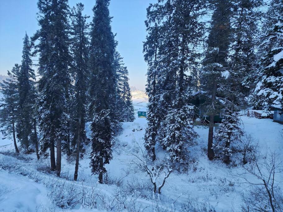 Winter Wonderland 2bhk