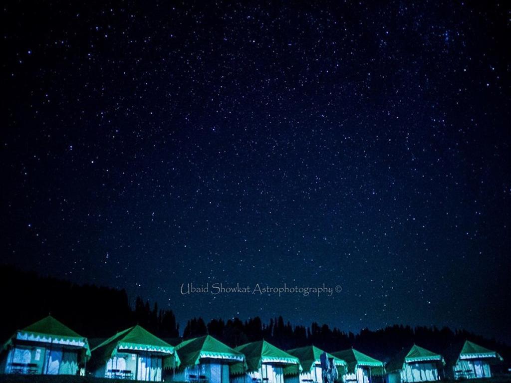 Luxury tent Meadows 2*
