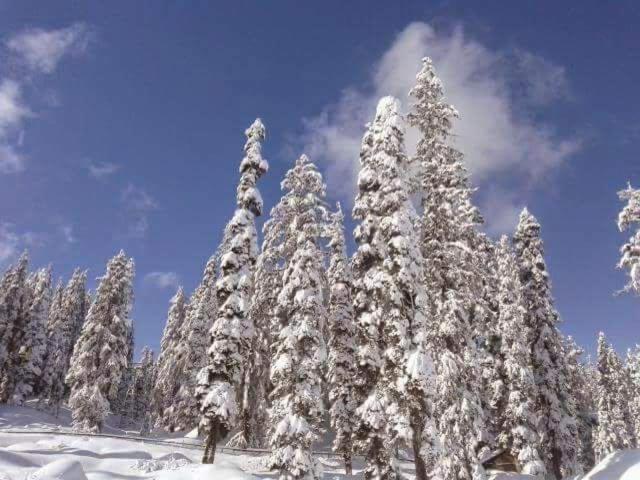 Homestay Sheen Gulmarg