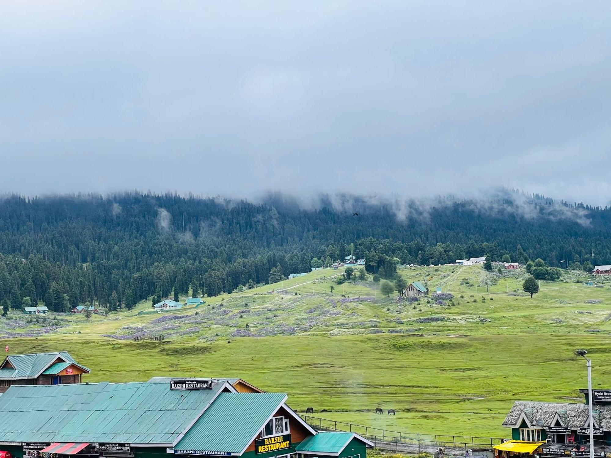 Pine View Resort 2*