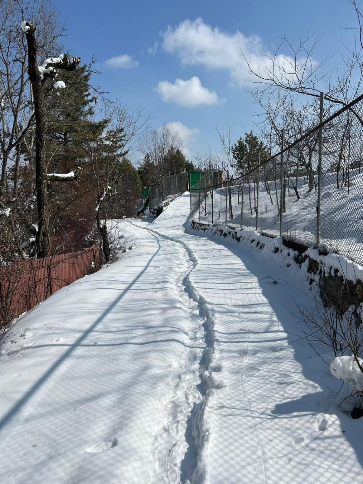 Jk's The Trout Stream * Gulmarg