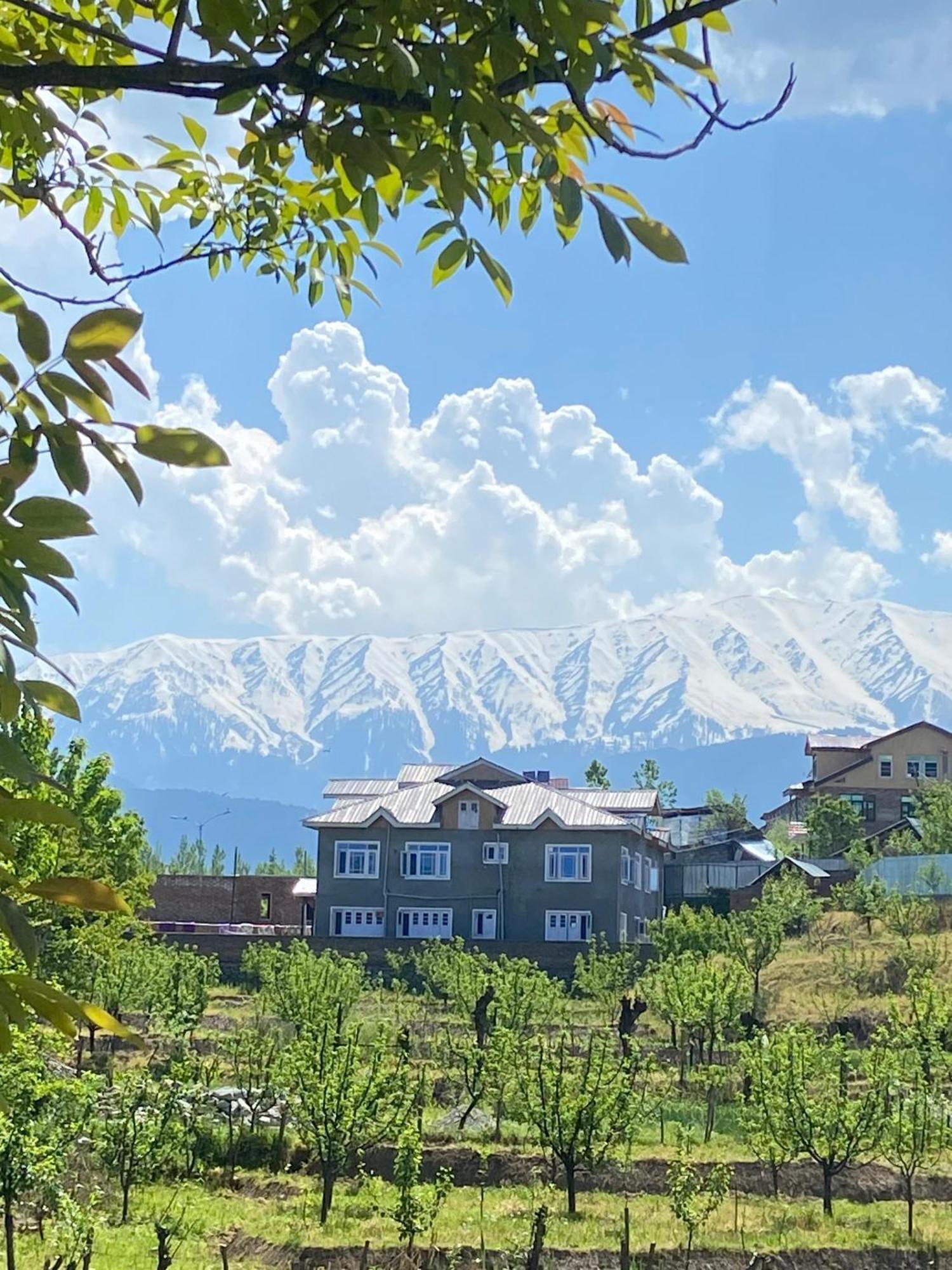 The Palace Gulmarg