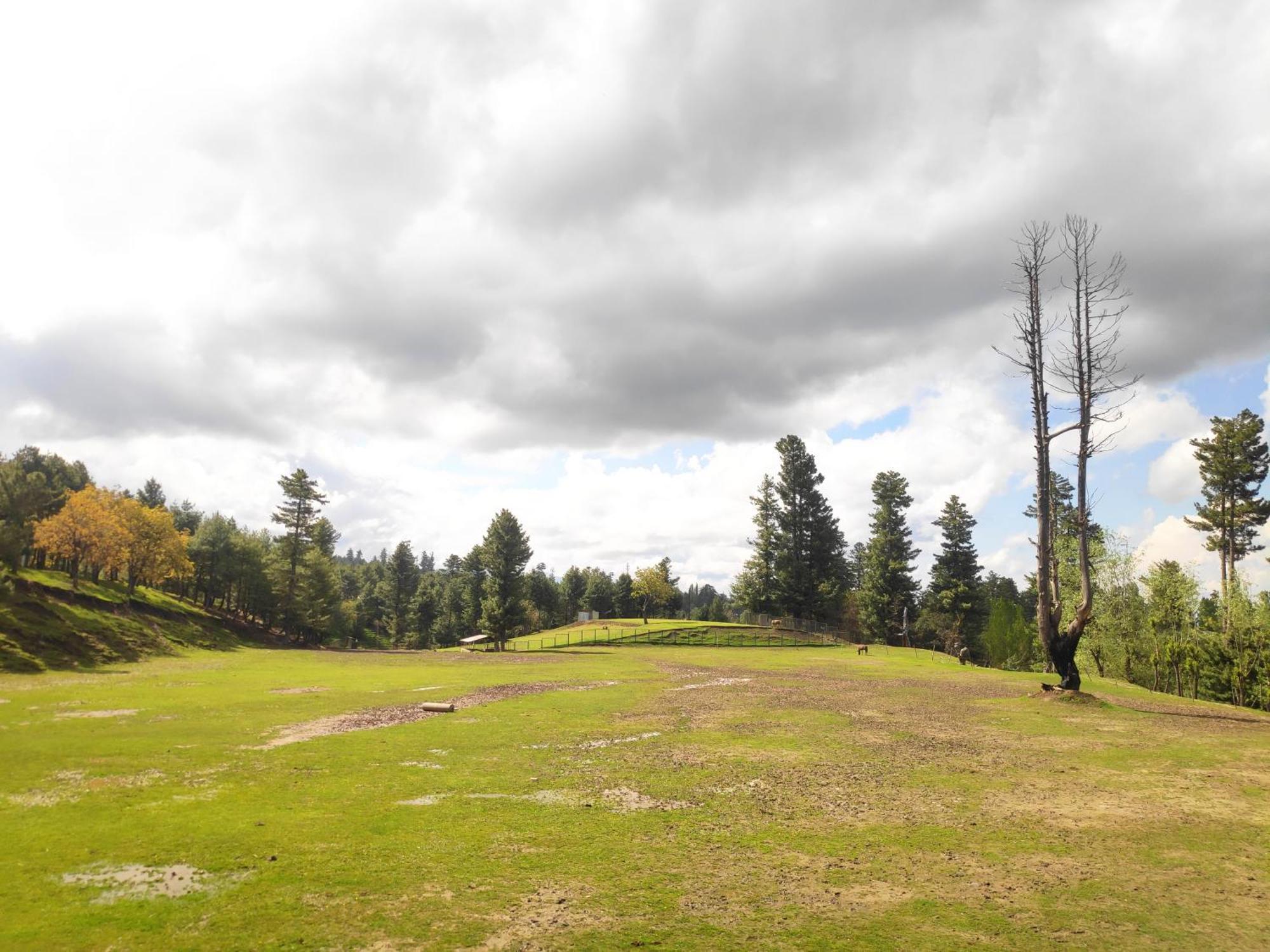 Lodge Serene By Doctors Gulmarg