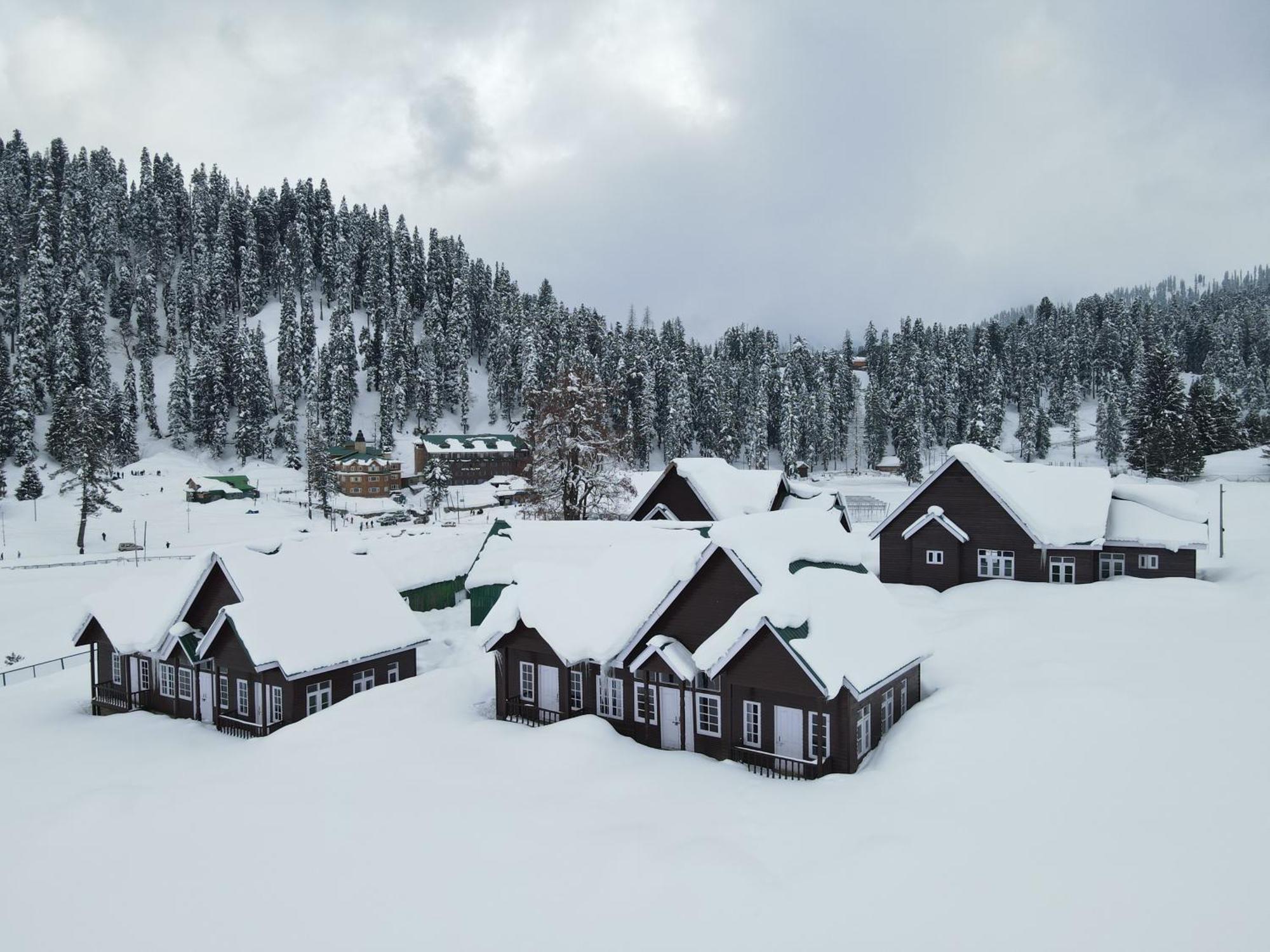Woods By Pattern 3* Gulmarg