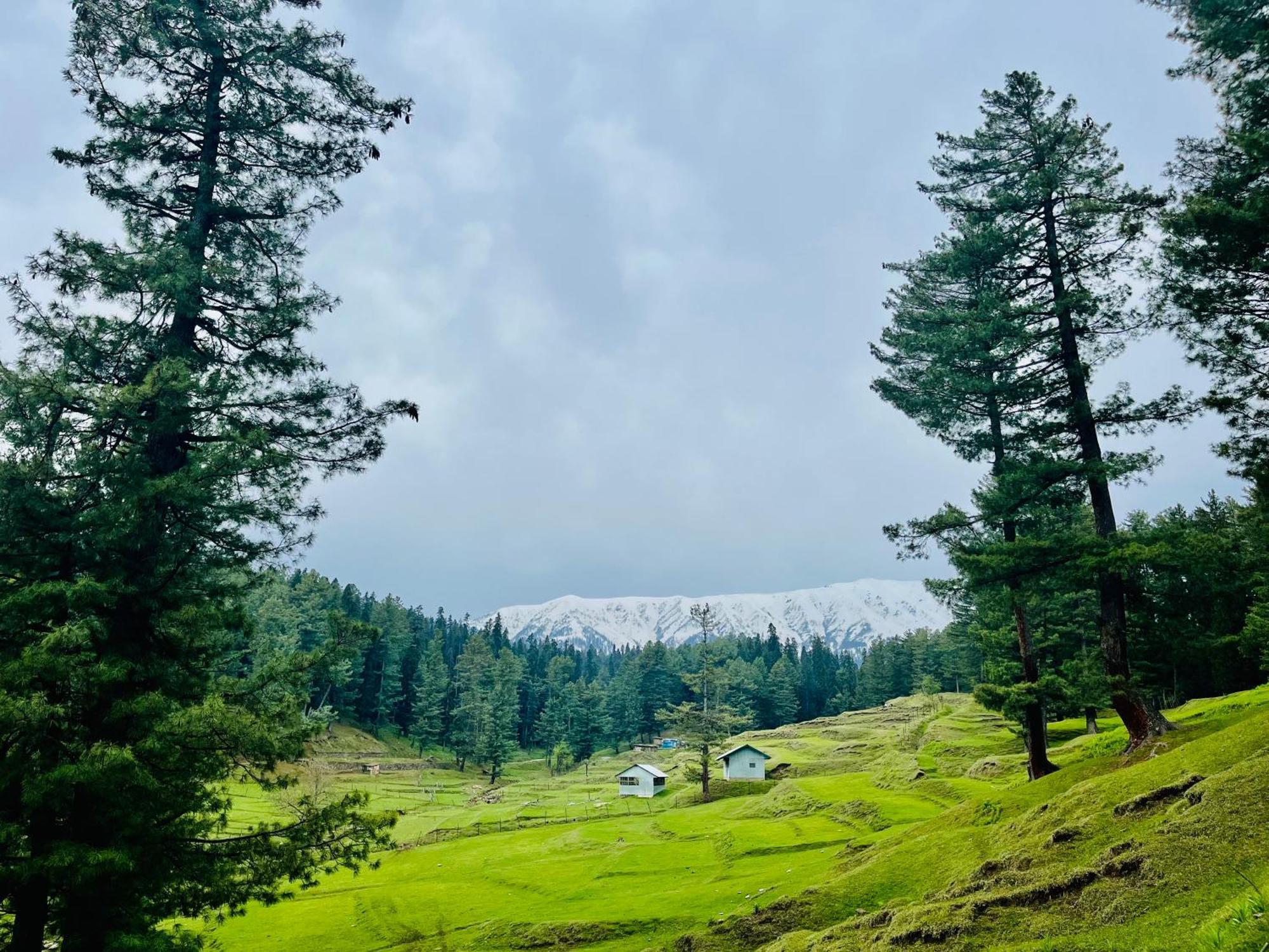 Everest Guest house *