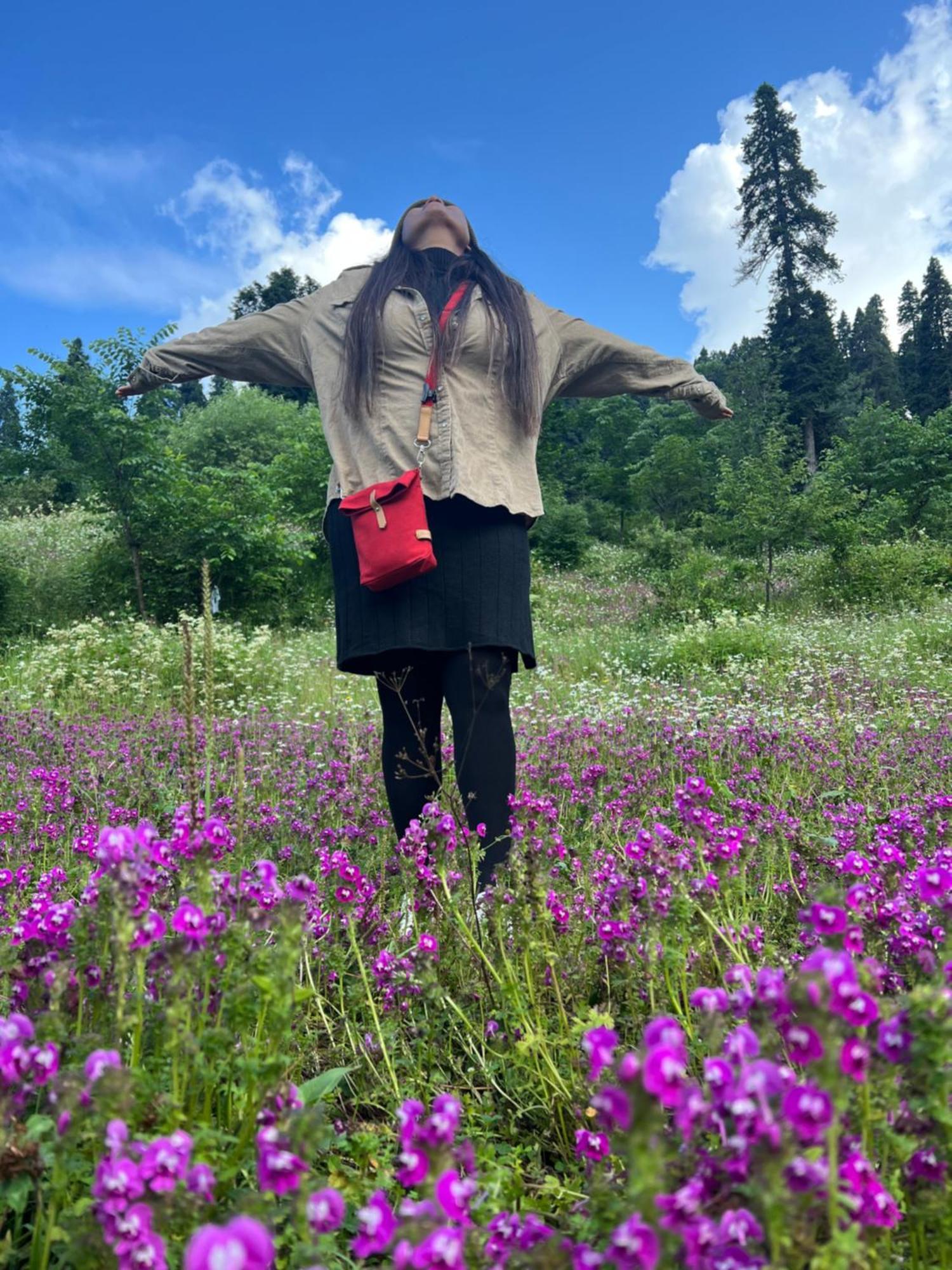 Guest house Everest Gulmarg