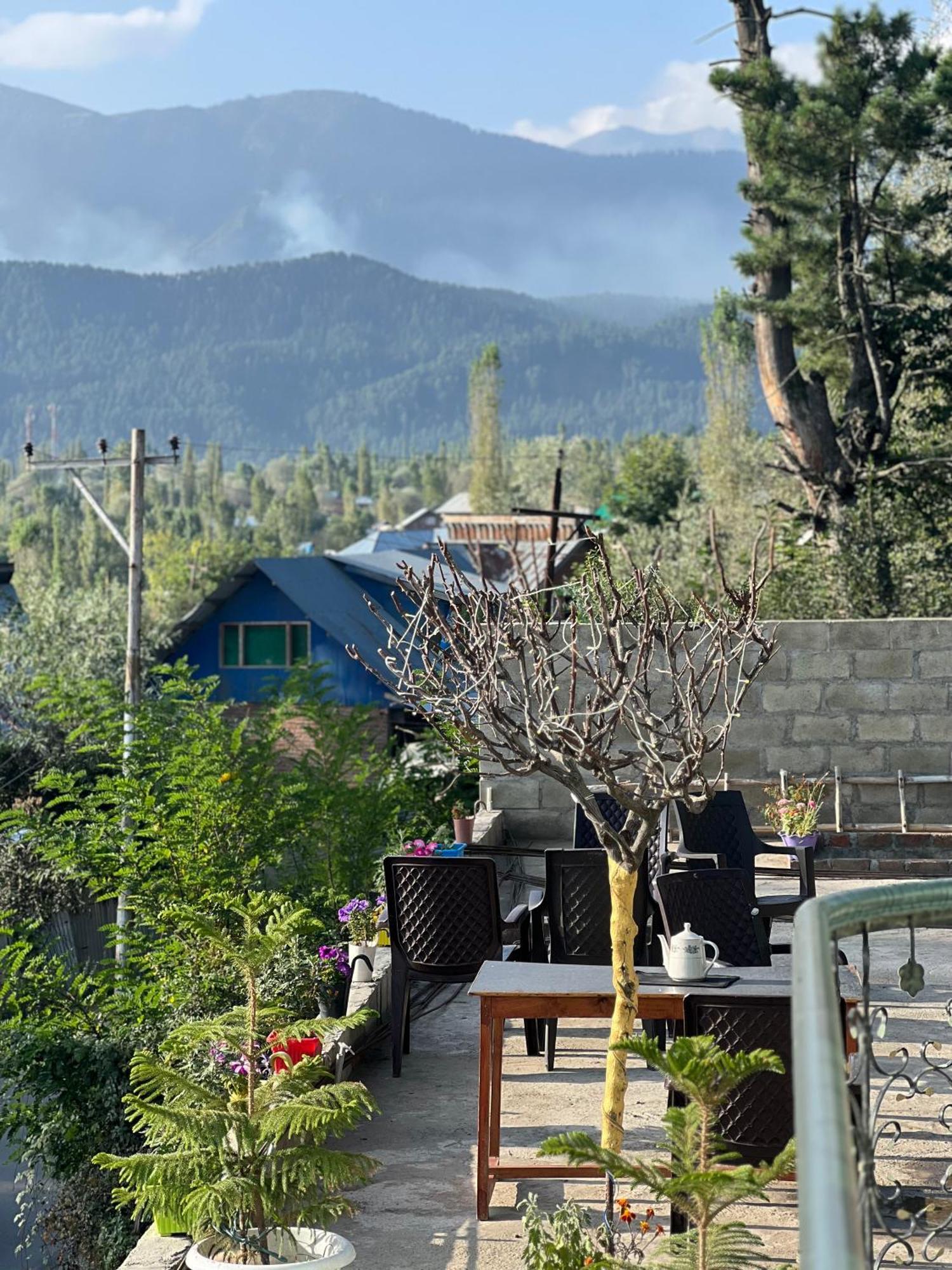 Everest Gulmarg