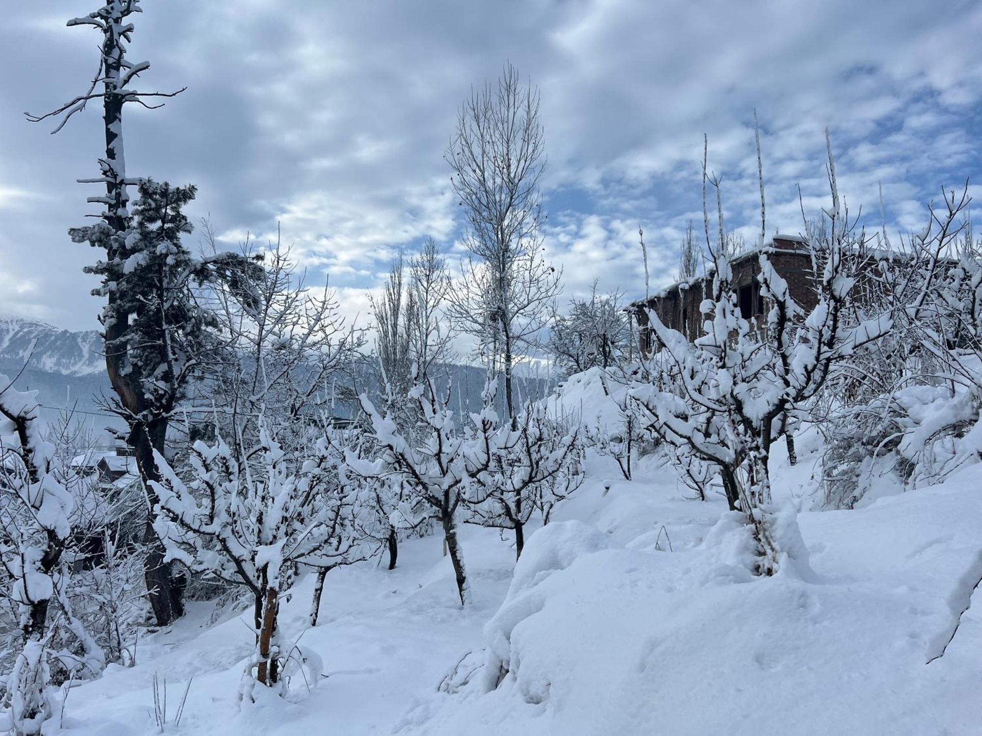 Everest Guest house *