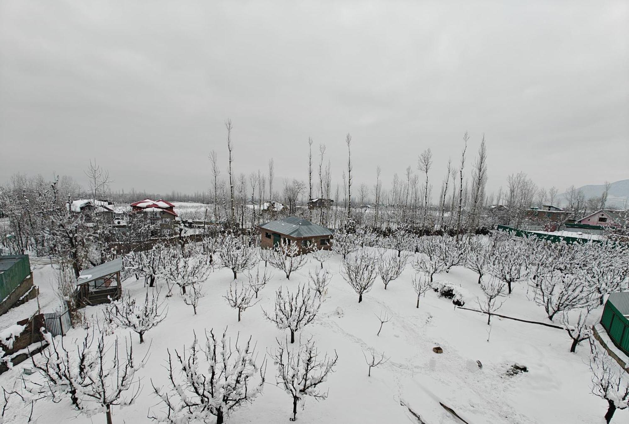 Guest house Orchard *