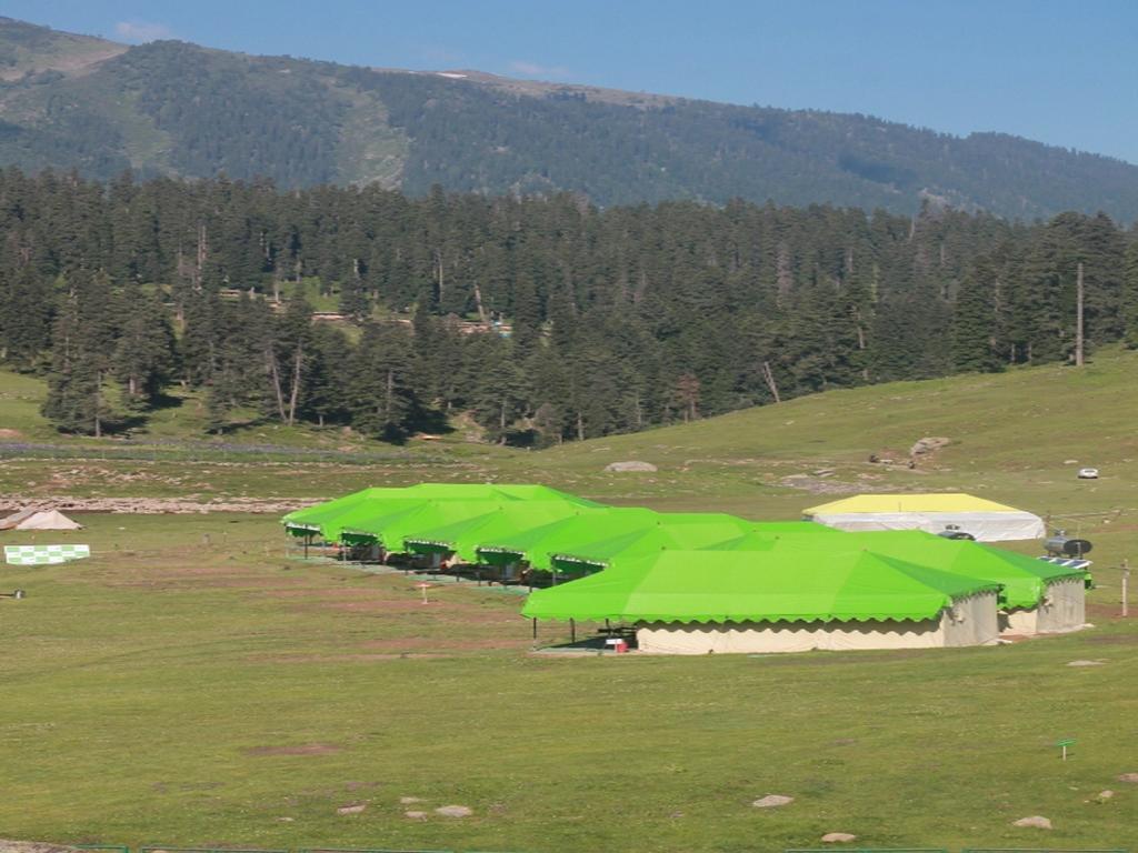 Meadows Luxury tent