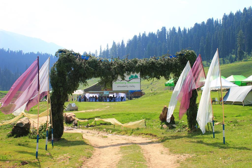 Meadows Gulmarg
