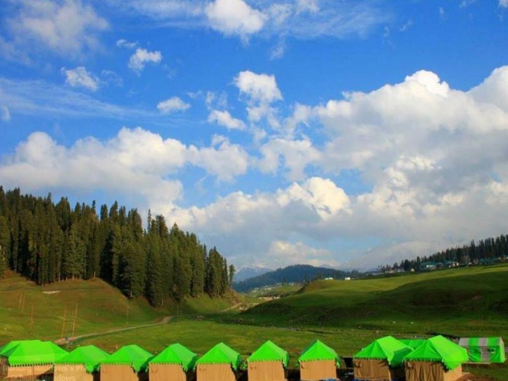Meadows Gulmarg