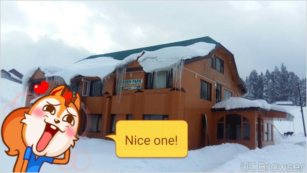 Green Park Gulmarg 2* Gulmarg