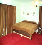 The Pine Palace Hotel 3*