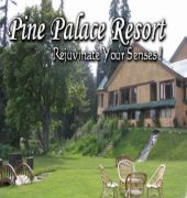 The Pine Palace 3*